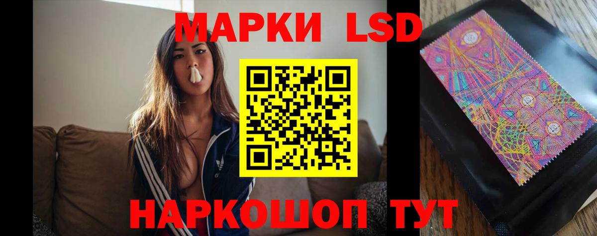 Георгиевск  блэк спрут ТОР  Вход с VPN  Лсд 25 экстази кислота 