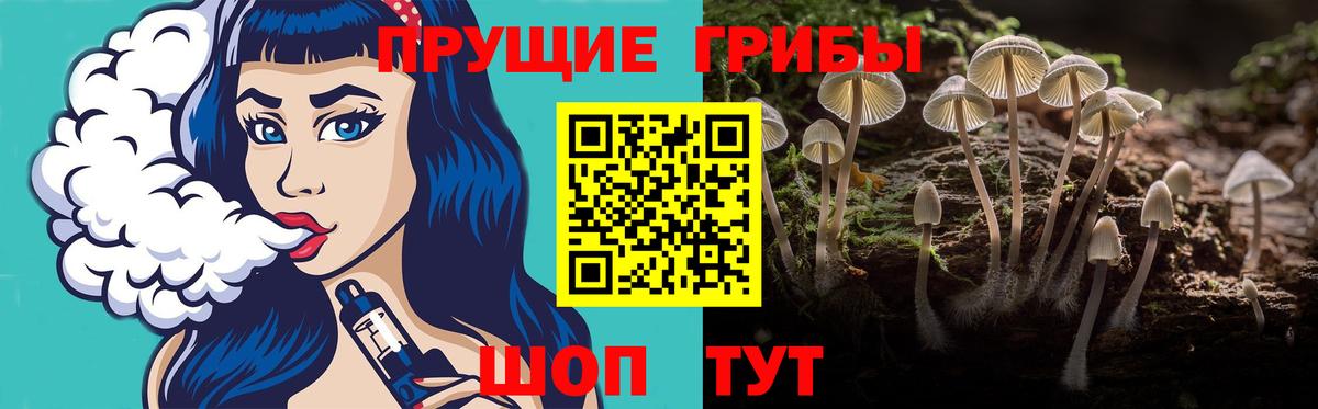 купить  сайты  Вход с VPN  Псилоцибиновые грибы прущие грибы  Георгиевск  Псилоцибиновые грибы Magic Shrooms 